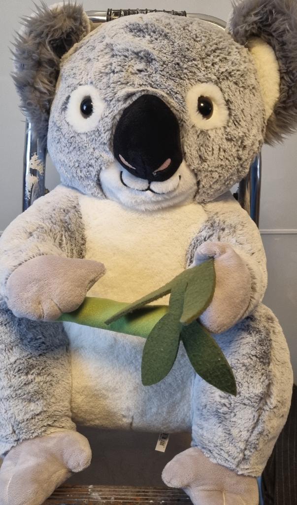 Peluche koala, Enlèvement, Autres types, Autres marques