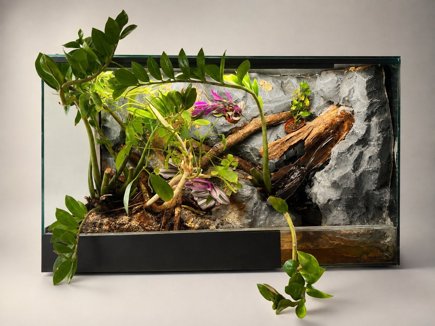 Paludarium compleet, Ophalen, Zo goed als nieuw, Terrarium of Paludarium