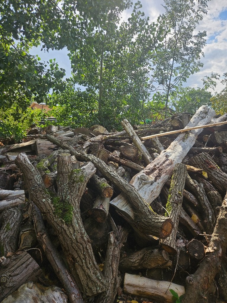 Brandhout, Enlèvement