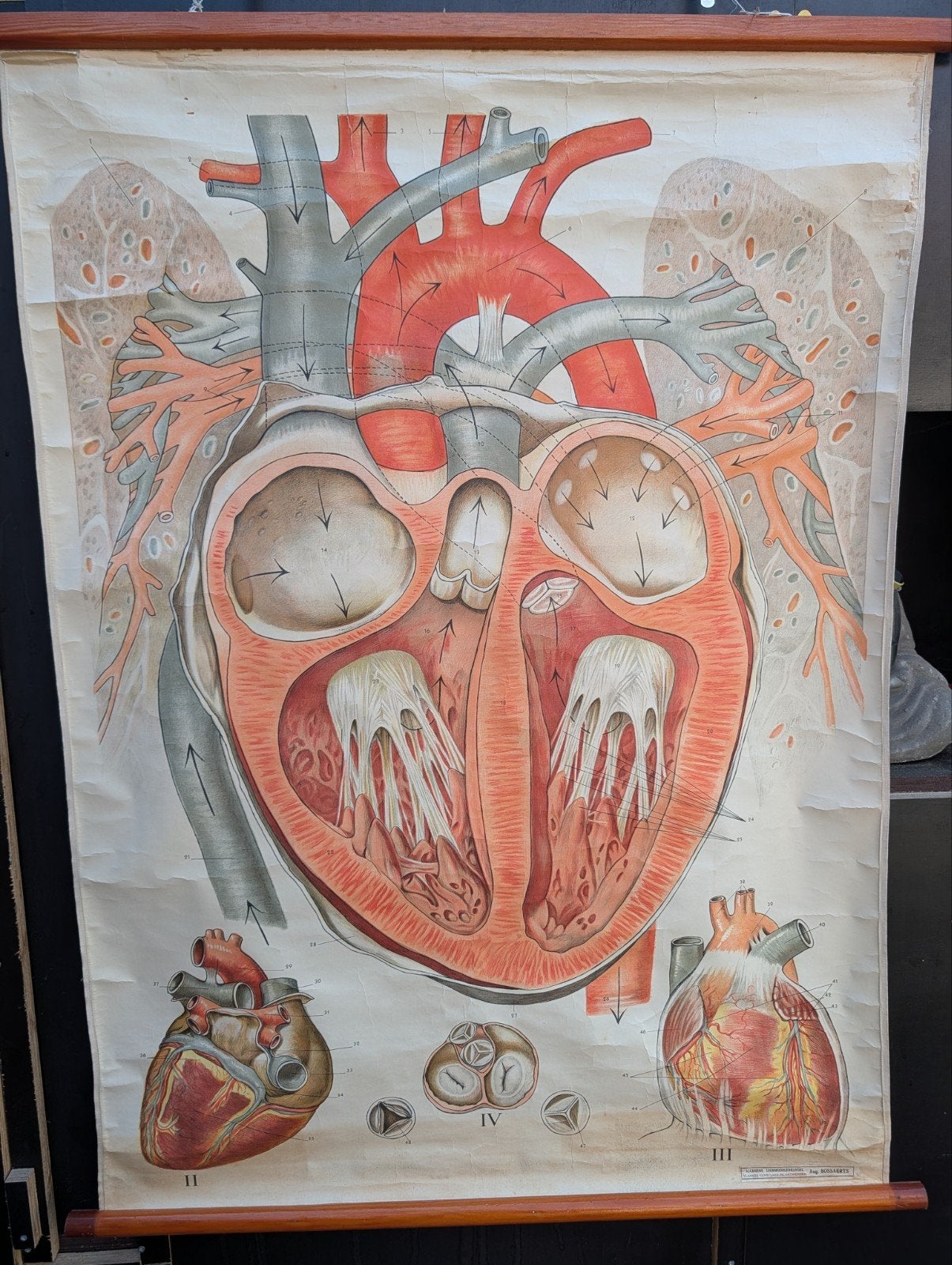Wandplaat, Antiquités & Art, Enlèvement