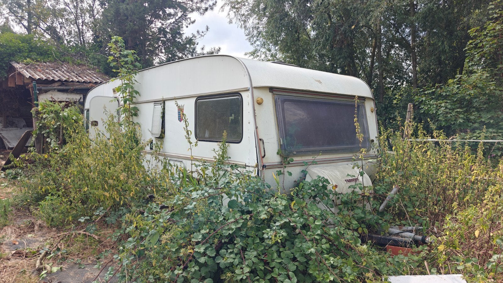 tabbert senator 530 - gratis, Caravans en Kamperen, Caravans, Tabbert