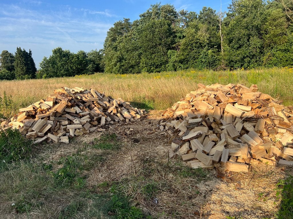 Brandhout populieren  voor kachels., 6 m³ of meer, Ophalen, Overige houtsoorten, Blokken