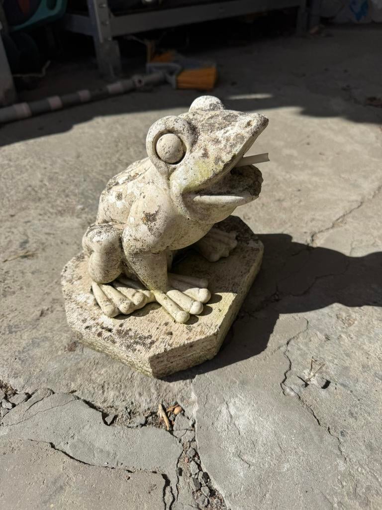 Fontein of vijversproeier kikker, Tuin en Terras, Ophalen of Verzenden, Gebruikt