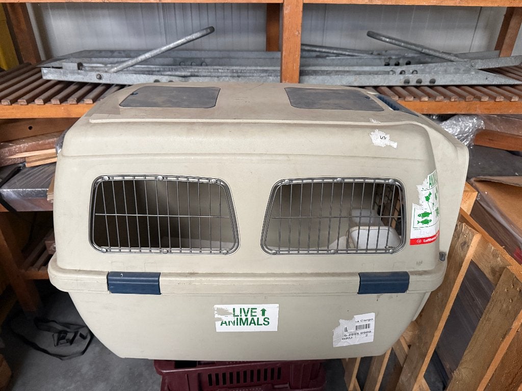 honden transportbox 90 x 60 x 65 cm hoog, Dieren en Toebehoren, Ophalen, Zo goed als nieuw