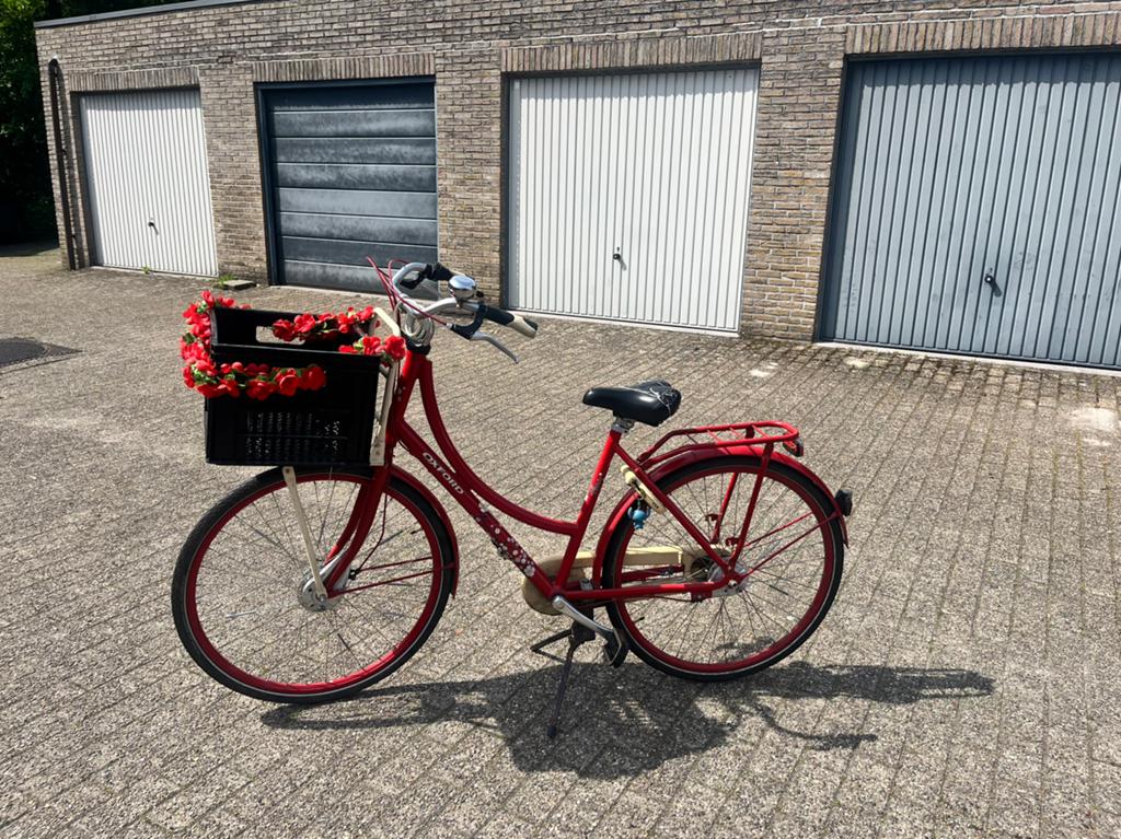 Oxford fleur, Fietsen en Brommers, Ophalen, Gebruikt, Trommelrem