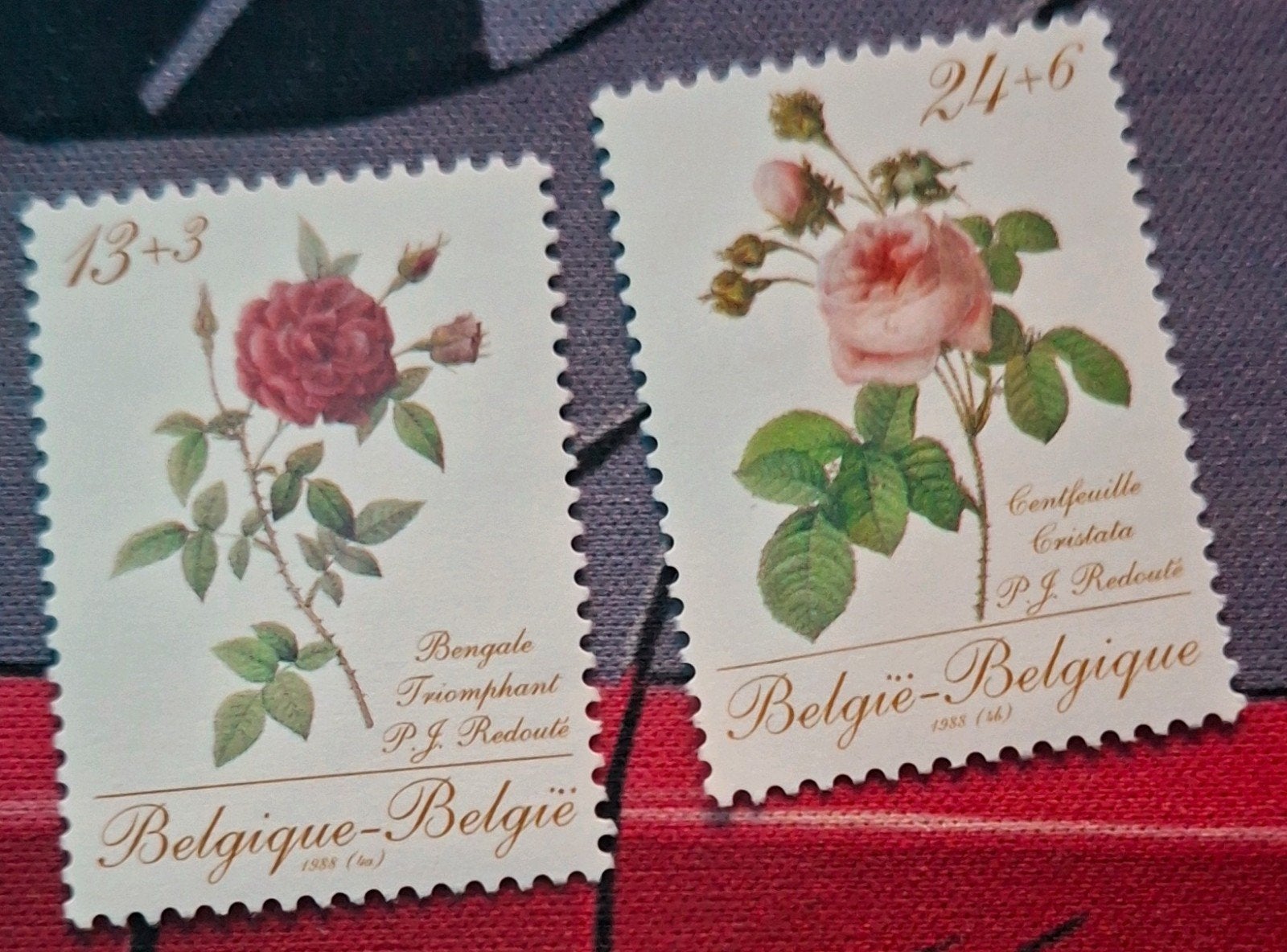Postzegels Promotie van de Filatelie I Rozen, Ophalen