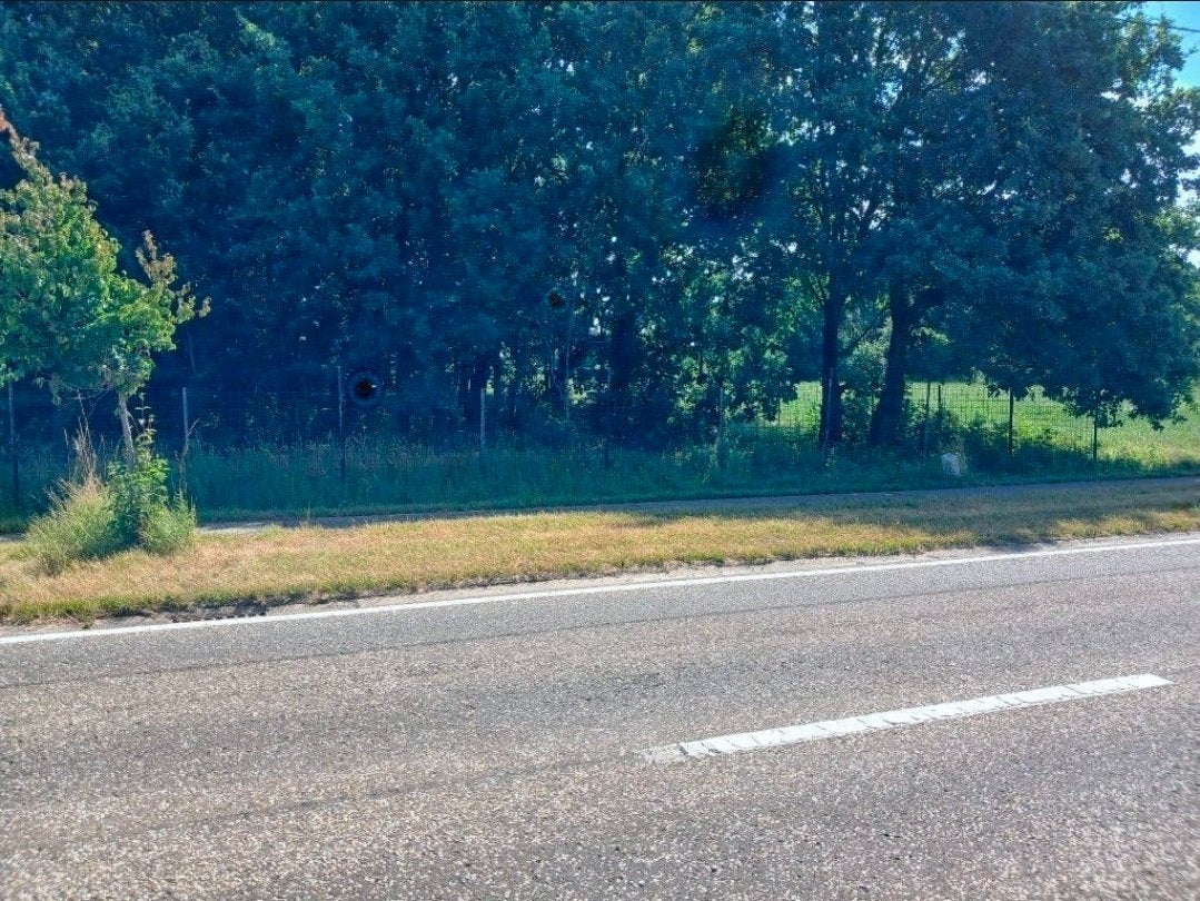 Landbouwgrond en bos te koop, Dieren en Toebehoren, Stalling