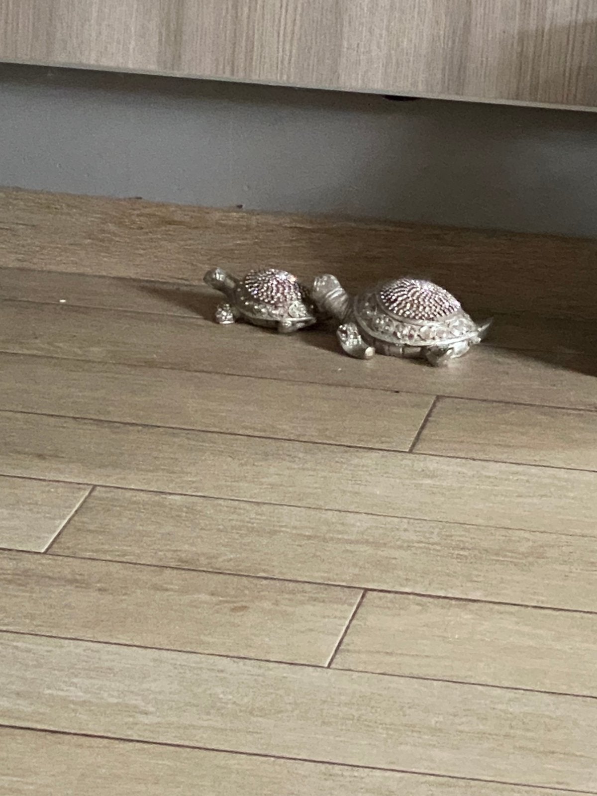 Schildpadden, Dieren en Toebehoren
