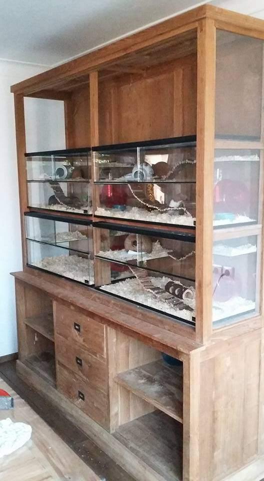 Terrarium hamster glas ruime hamsterkooi, Dieren en Toebehoren, Minder dan 60 cm, Kooi, Nieuw, Ophalen of Verzenden