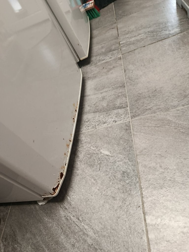 A vendre Frigo BEKO, 160 cm ou plus, Enlèvement, Utilisé, 200 litres ou plus