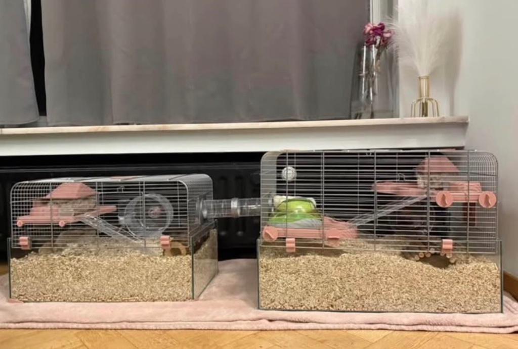 2 cages à hamster Zolux Panas 50 + 60, Enlèvement, Comme neuf, Cage, Hamster