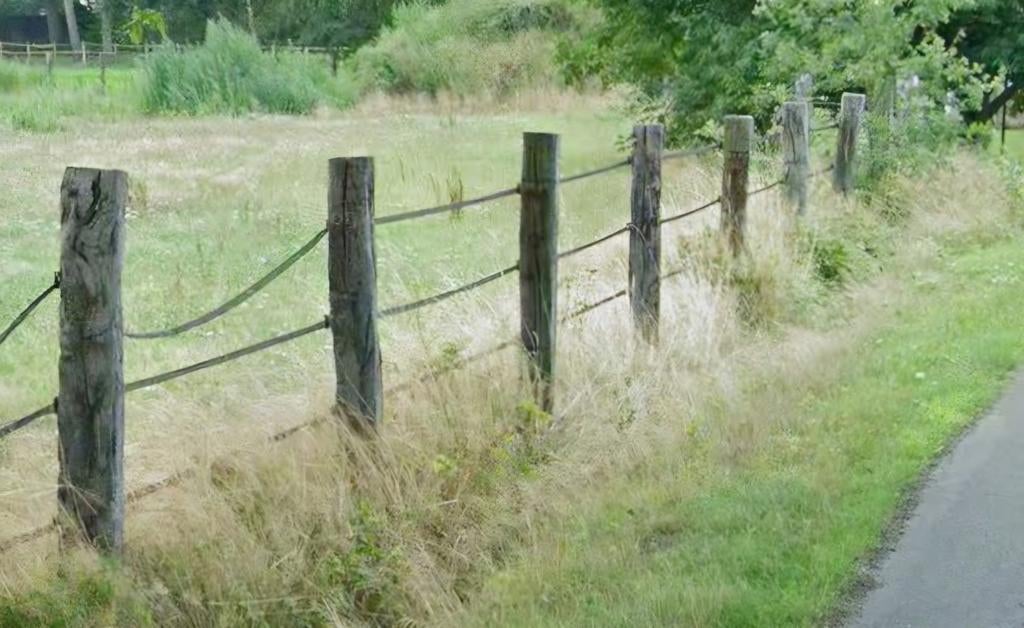 Treinbilzen, Dieren en Toebehoren