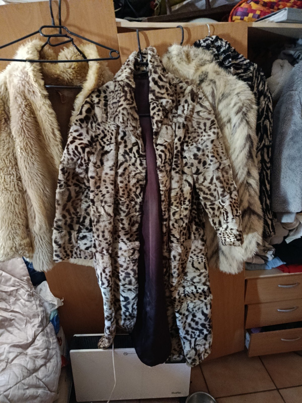 Veste et manteau de fourrure, Renard bleu a tournai, Gedragen