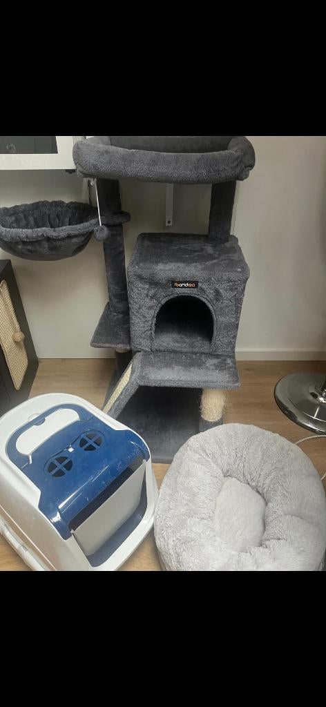 Accesoire pour chat animaux, Animaux & Accessoires, Nourriture pour Animaux, Enlèvement, Chat