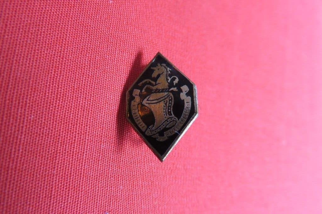 Insigne de boutonnière : Ecole Troupes Blindées, Collections, Enlèvement ou Envoi, Armée de terre, Emblème ou Badge