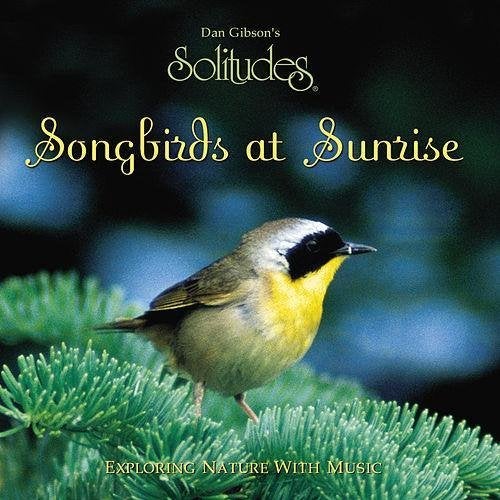 CD EN VENTE DAN Gibson Songbirds At Sunrise-Solitud, Envoi