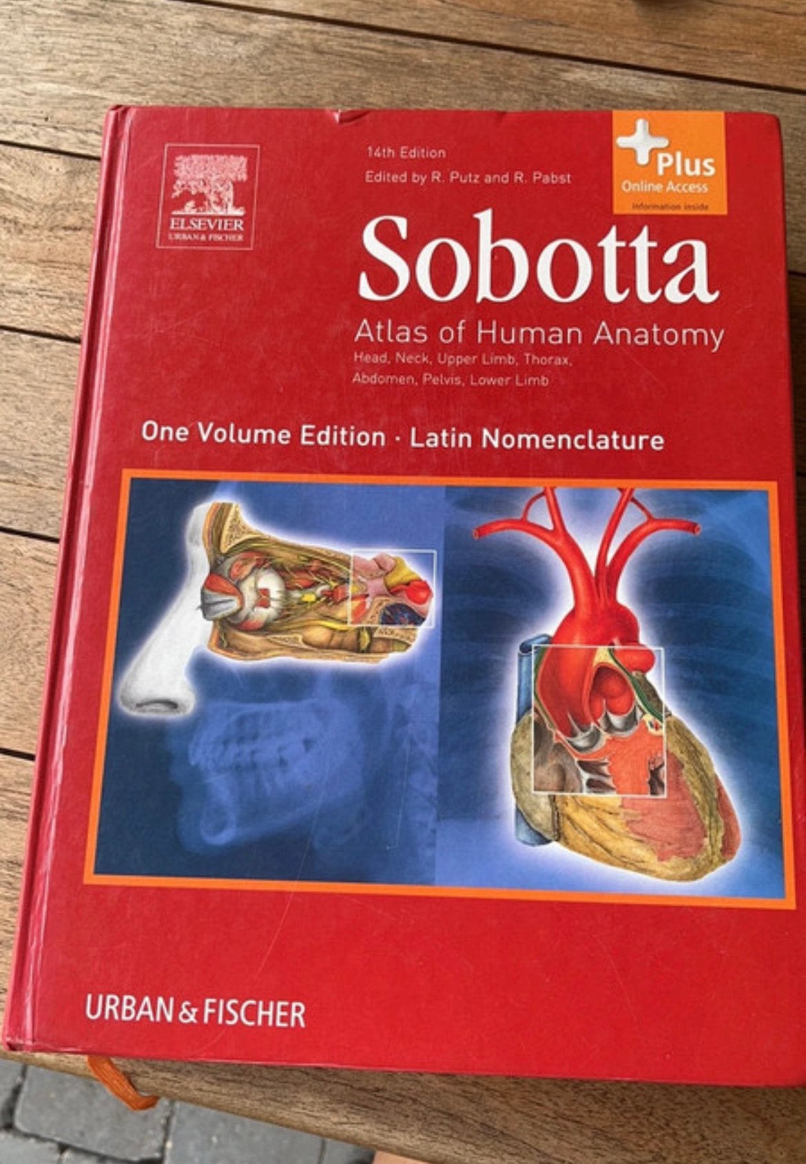 Sobotta 2 volumes en 1 livre (14e édition), Livres, Enlèvement ou Envoi, Comme neuf