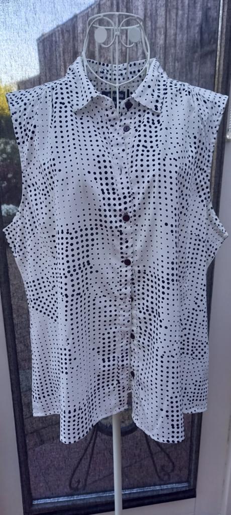 Prachtige bloesjes. Maat xl, Kleding | Dames, Grote Maten, Ophalen of Verzenden
