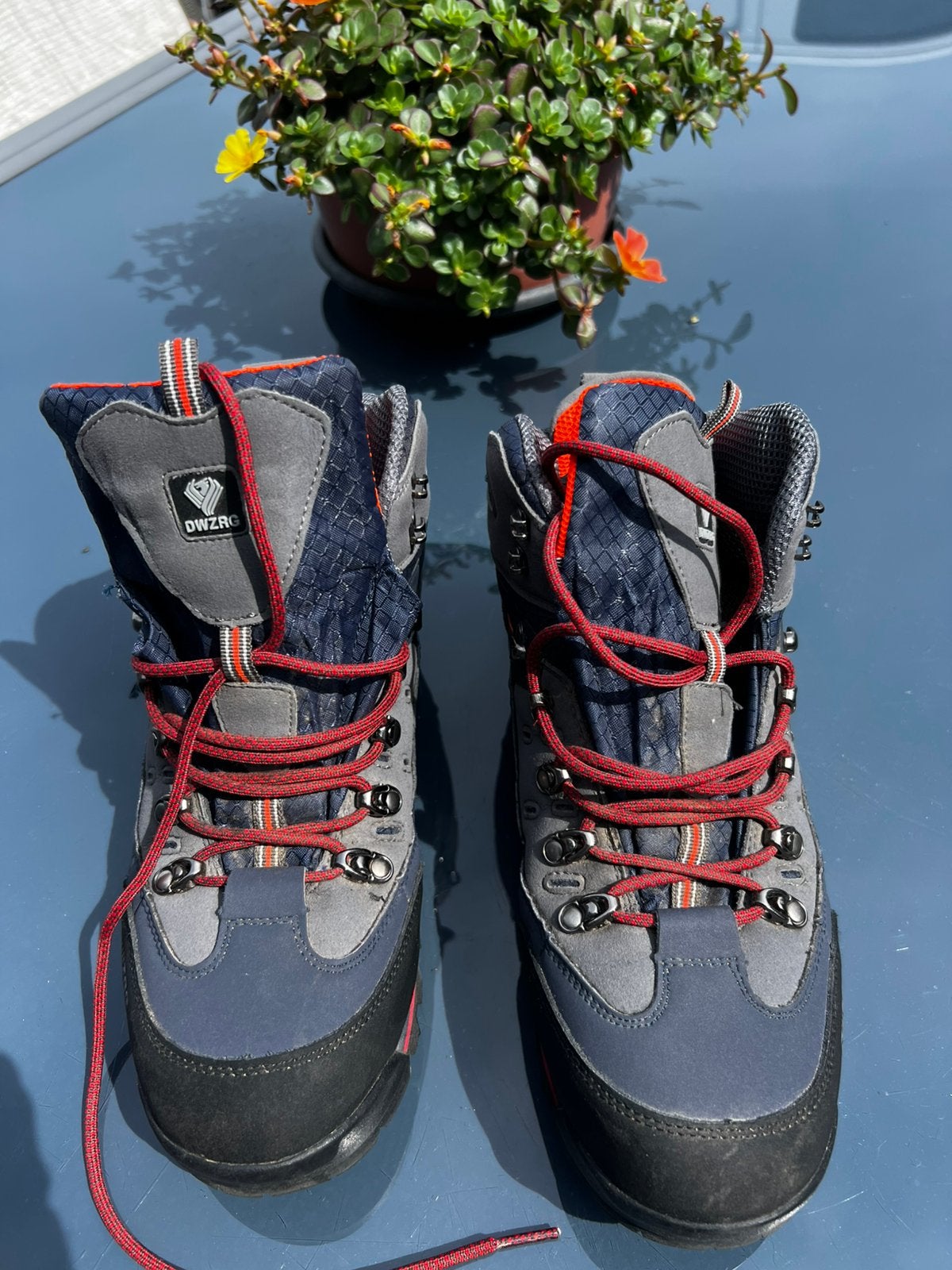 Nieuwe wandelschoenen, Enlèvement, Neuf