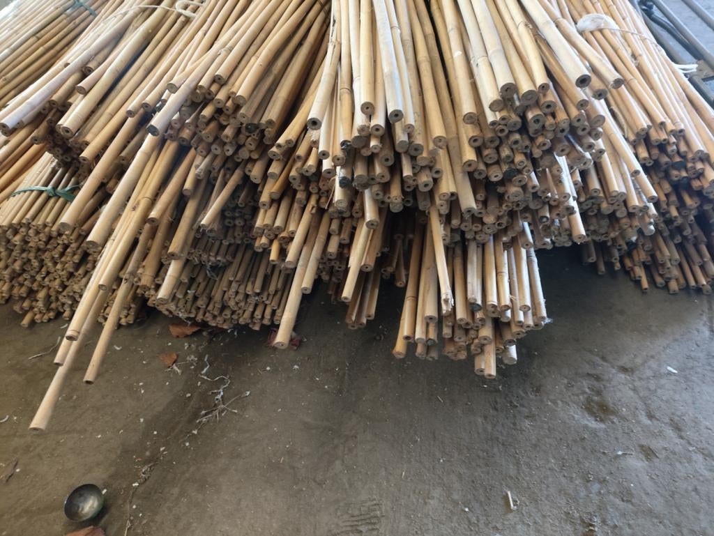 Bamboostokken, Tuin en Terras, Schuttingen, Ophalen
