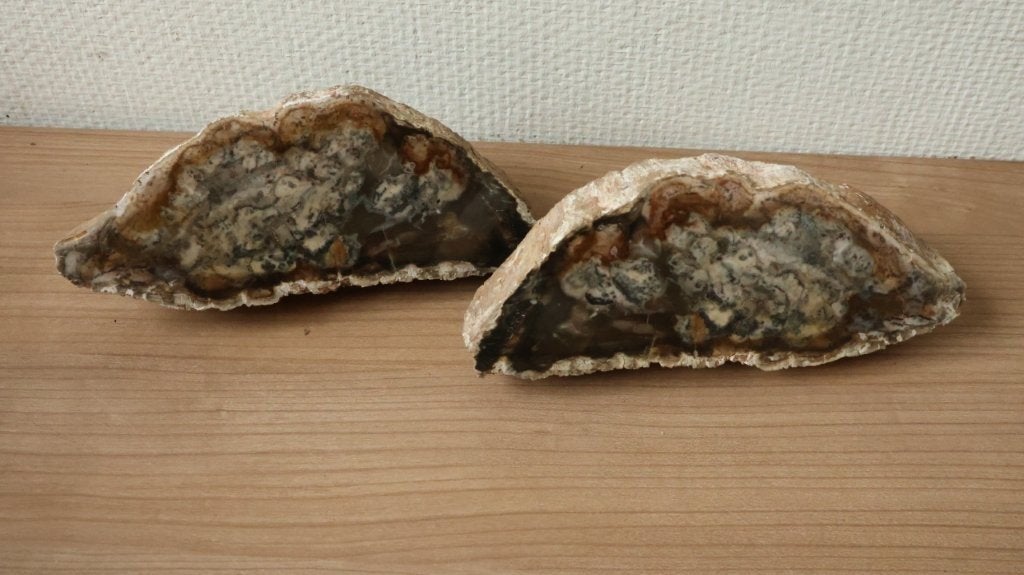 Versteend hout, Ophalen of Verzenden, Mineraal