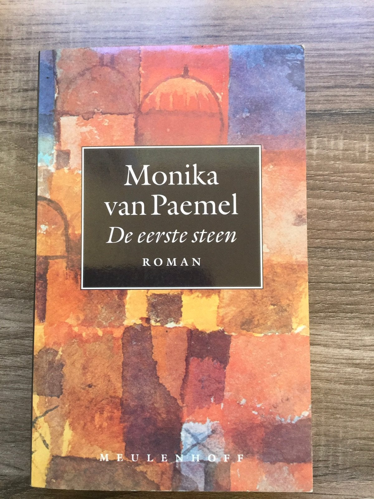 Monica van paemel - de eerste steen, Boeken, Ophalen of Verzenden, Zo goed als nieuw