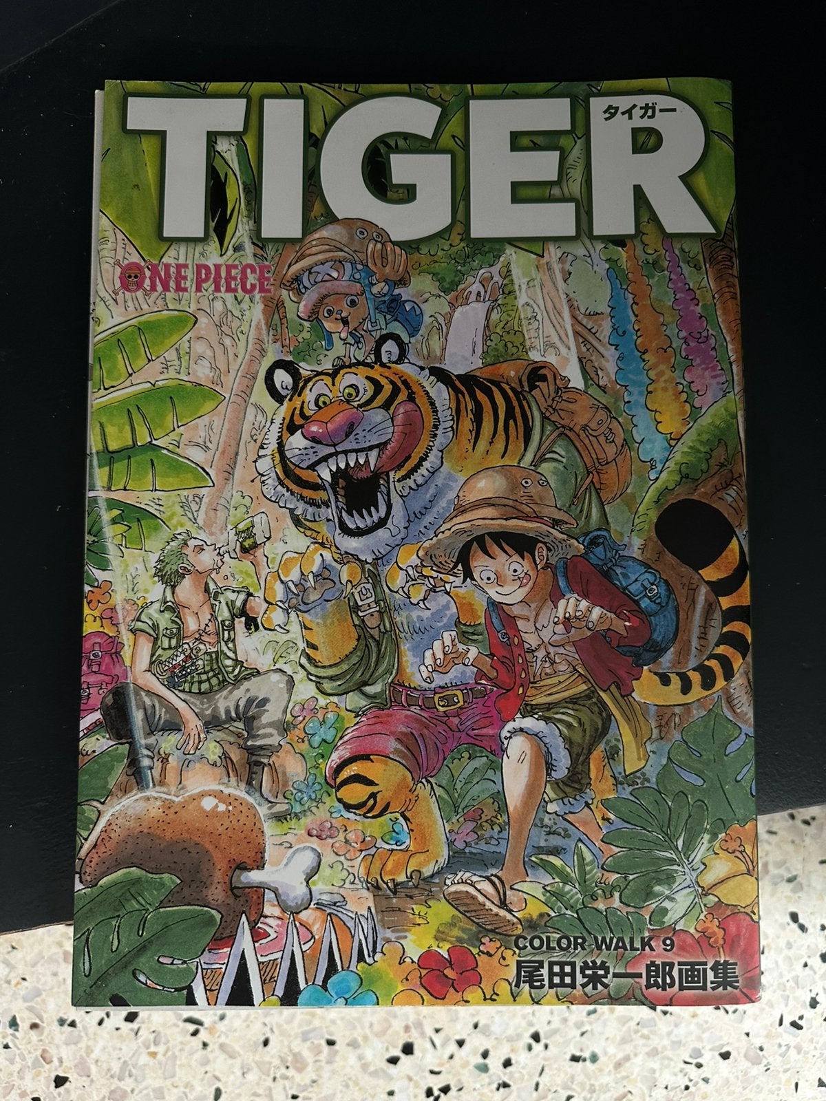 Livre d'art en une pièce avec affiche, Enlèvement, Comme neuf