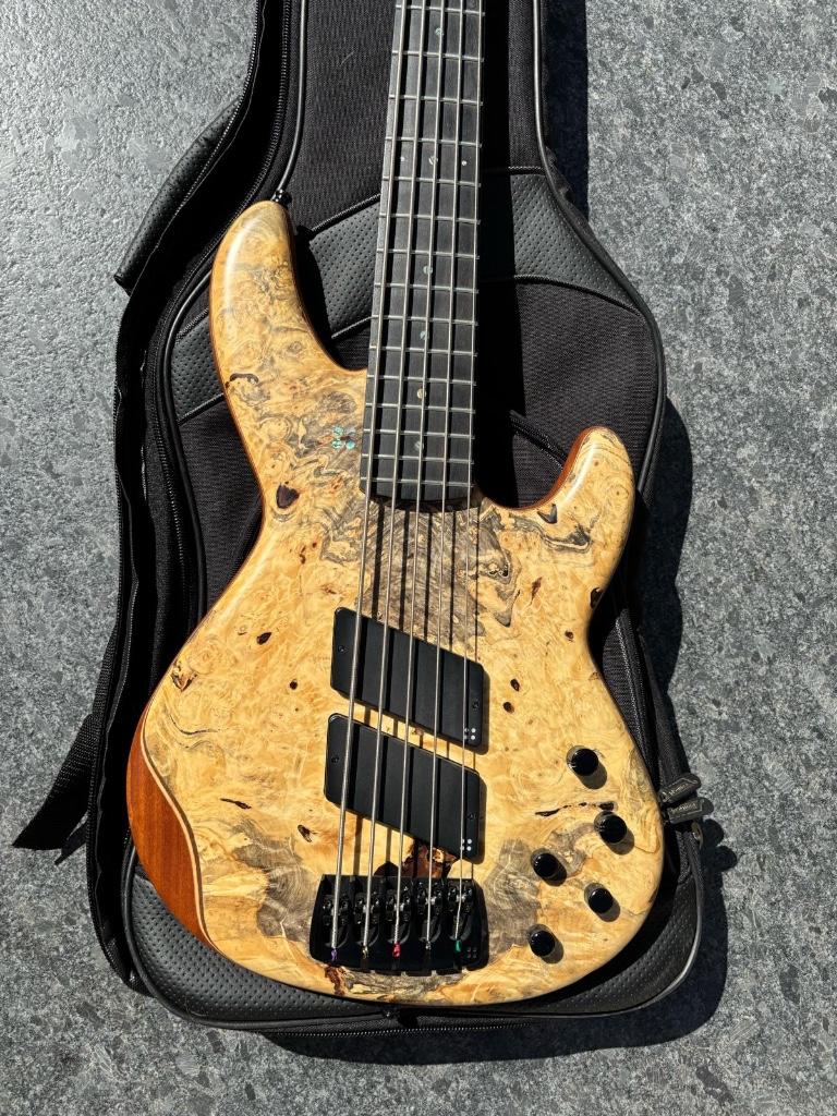 Sandberg 5 – Exotic Top (Buckeye Burl), Musique & Instruments, Enlèvement, Neuf, Électrique, 5 cordes