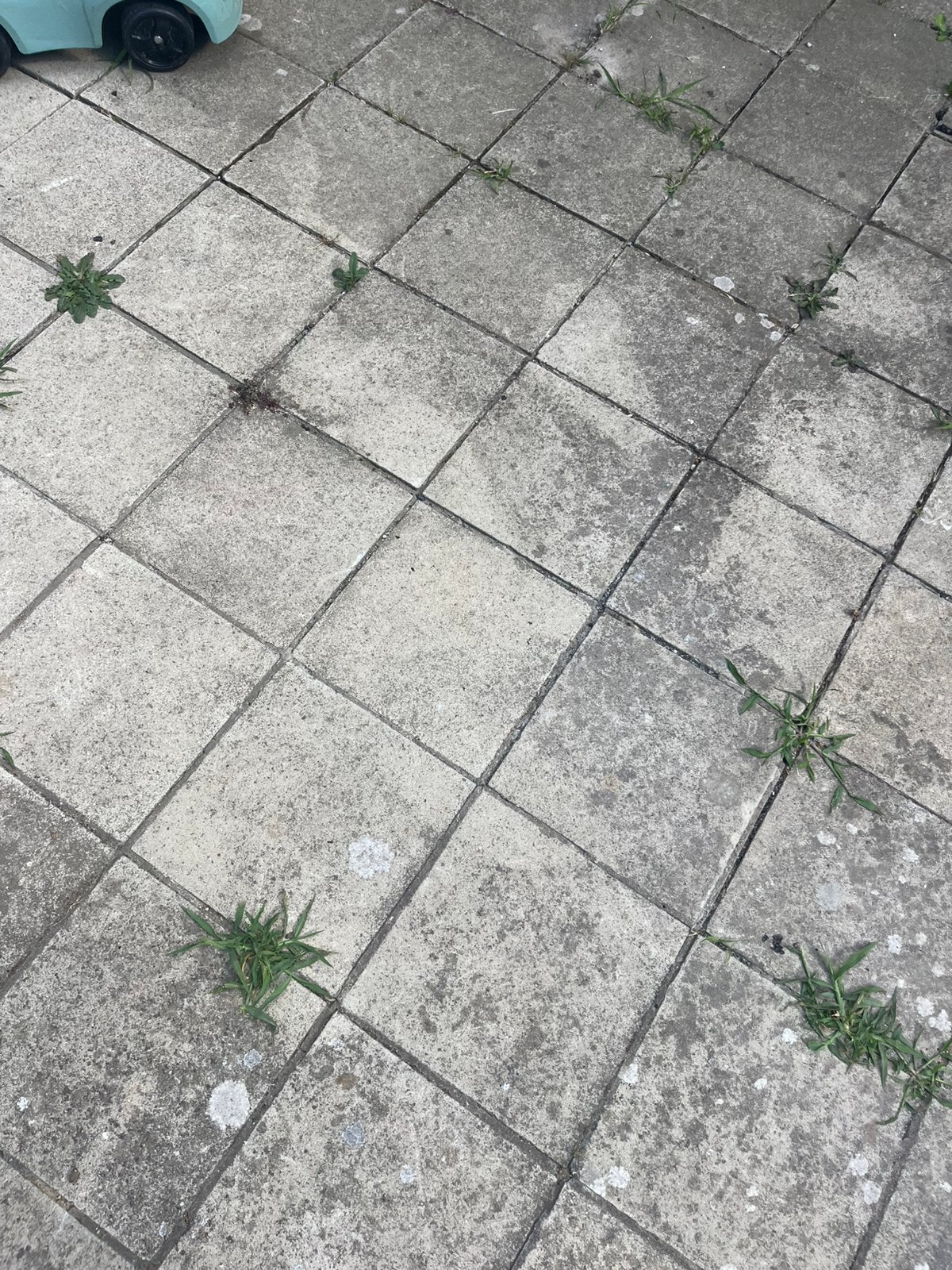GRATIS tegels!, Tuin en Terras, Tegels en Klinkers, Ophalen, Zo goed als nieuw