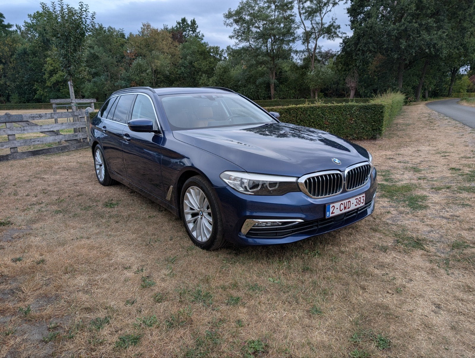 BMW 520d Luxury Line, Autos, Cuir, Euro 6, Automatique, 2390 kg