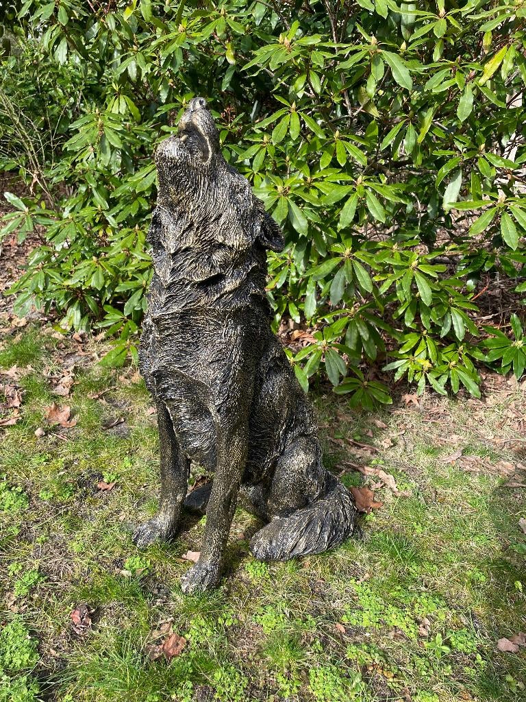 Image loup, chien, terrasse, jardin, 75 cm, Enlèvement, Neuf, Synthétique, Animal