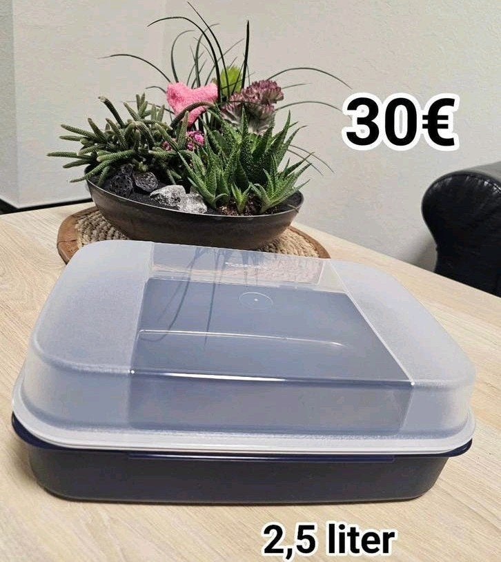 Tupperware scharnierdoos, Huis en Inrichting, Ophalen of Verzenden, Nieuw