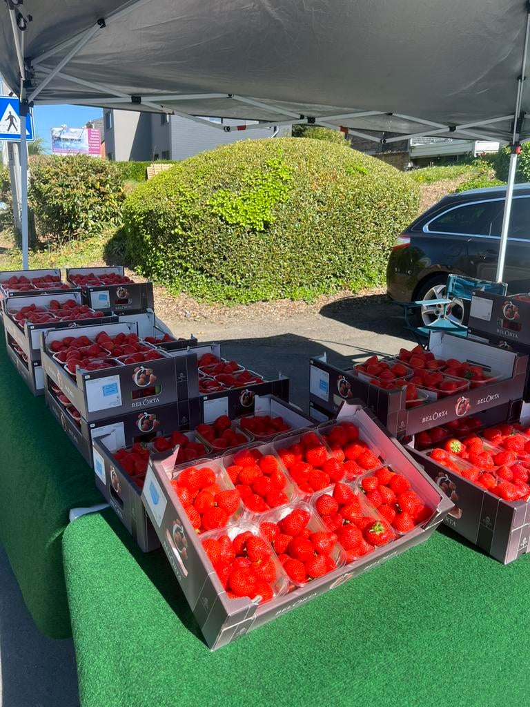 LES FRAISES DE WAREMME SONT LÀ !, Tickets & Billets, Autres types, Une personne, Janvier
