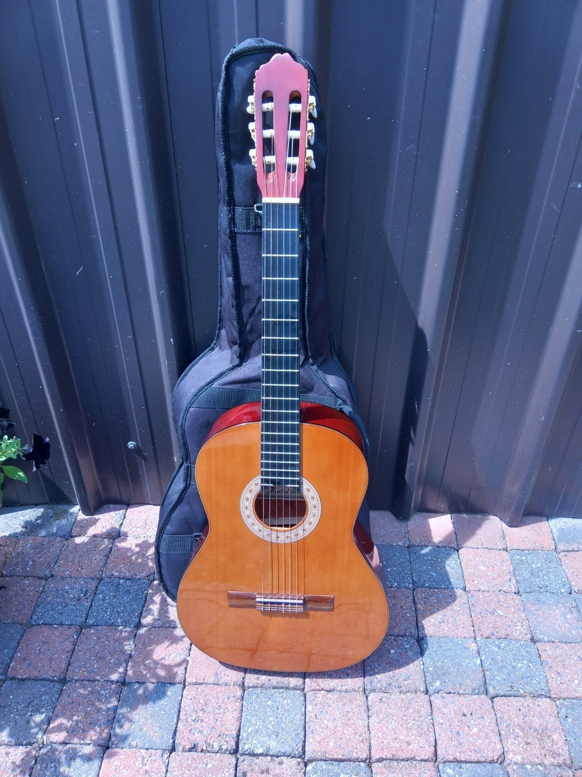 Gitaar met draagzak, Ophalen