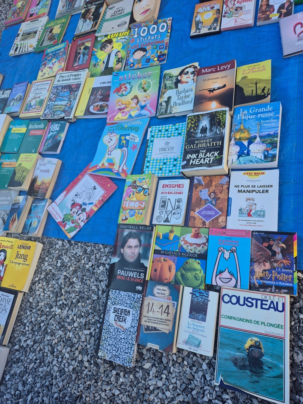 55 romans en boeken in TB-toestand. DOE 1 AANBOD. Geen lever, Ophalen