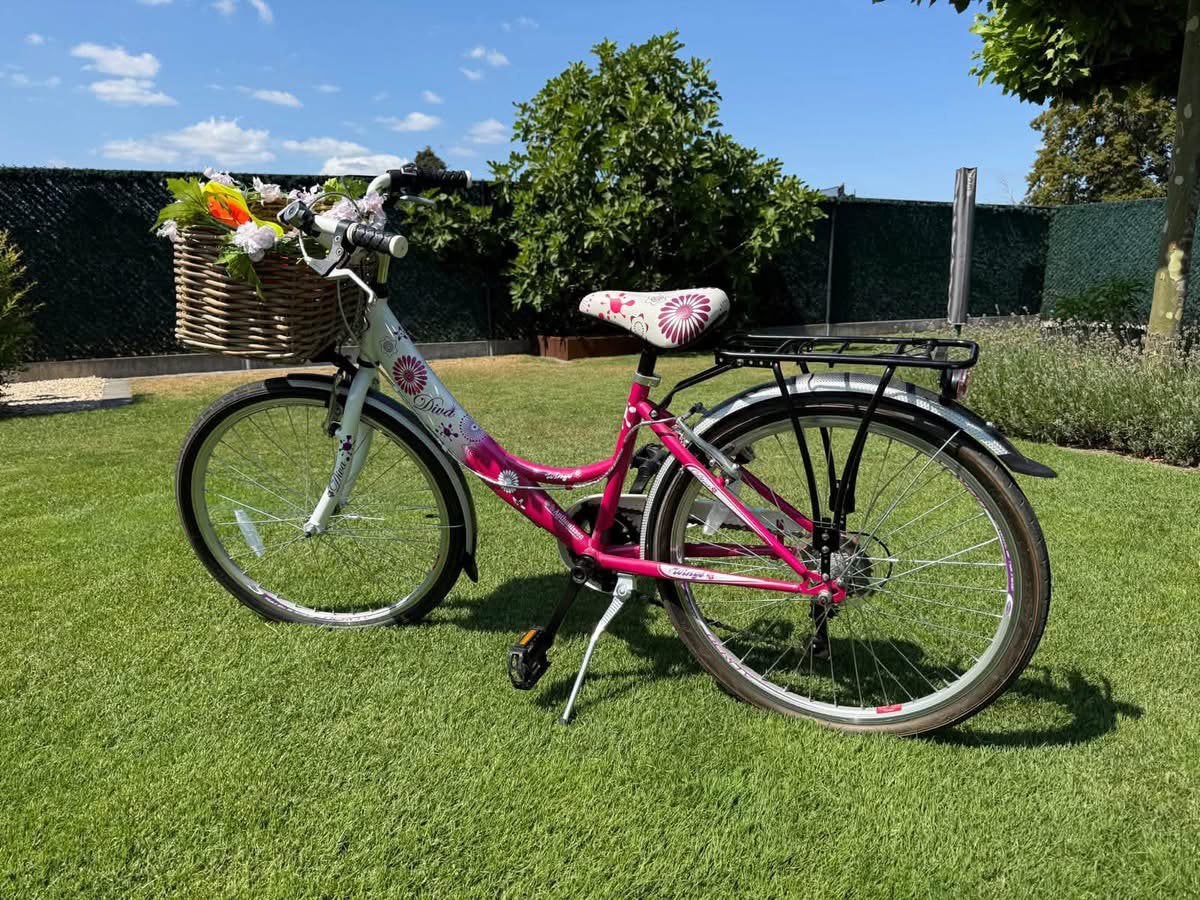 Meisjesfiets in uitstekende staat, Ophalen, Zo goed als nieuw, 24 inch