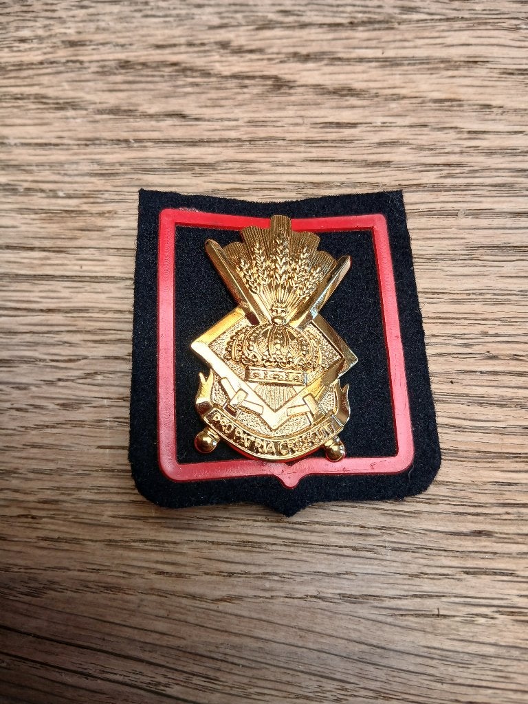 Insigne des cadets de la  DPERM, Envoi, Armée de terre, Emblème ou Badge