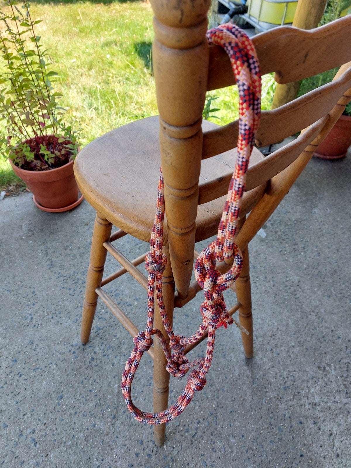 2 items voor paarden, Dieren en Toebehoren, Ophalen