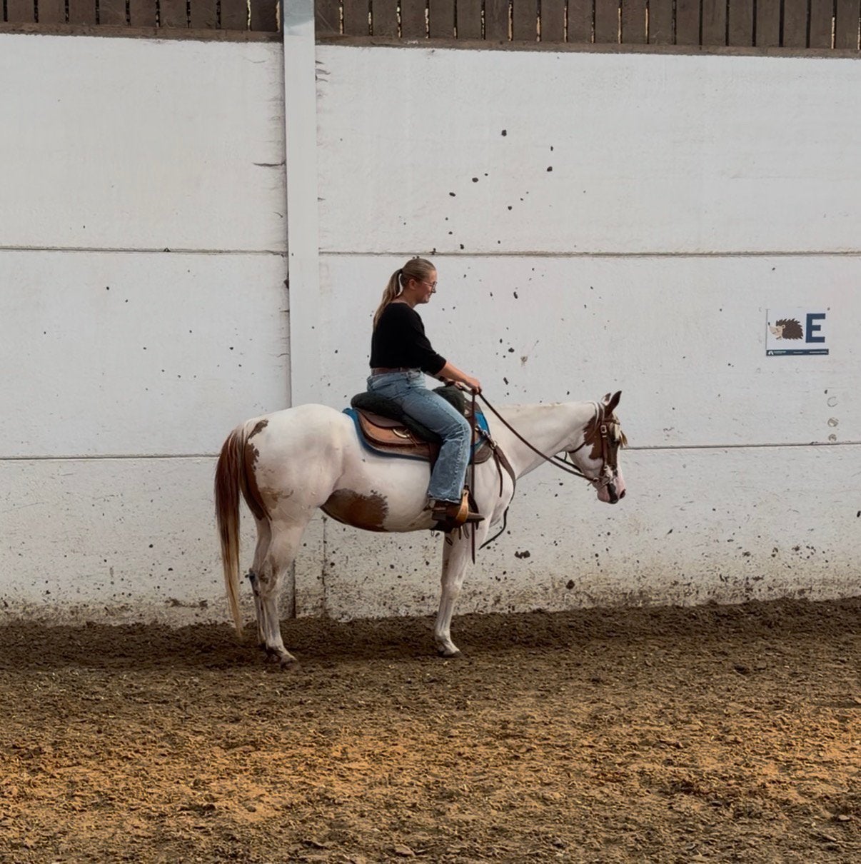 6 jarige paint merrie, Animaux & Accessoires, Chevaux, Jument, Cheval western