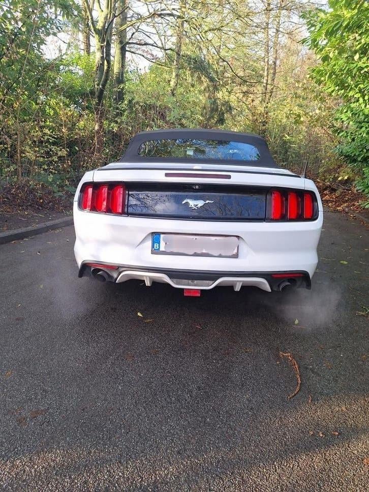 Ford mustang, Autos, Entreprise, Achat, Mustang