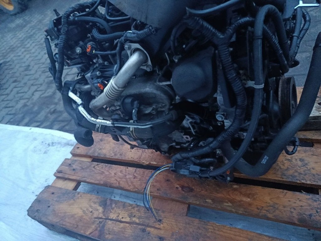 Moteur XWDB Complet FORD FOCUS, Envoi, Utilisé, Daihatsu