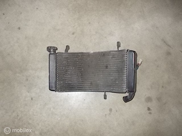 Radiateur origineel radiator ST2 ST3 ST4 ST 2 3 4 S Senna, Motoren, Onderdelen | Ducati, Gebruikt, Ophalen of Verzenden