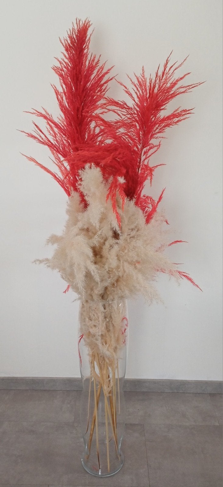 Pampas, Maison & Meubles, Enlèvement, Beige