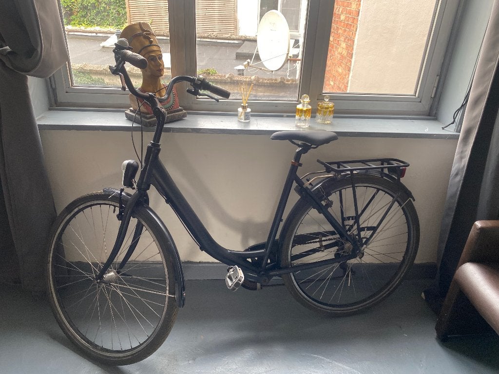 Damesfiets, Ophalen, Gebruikt, Versnellingen