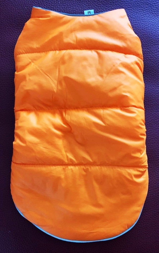 Warm jasje voor kleine hond, nieuw, Ophalen of Verzenden, Nieuw