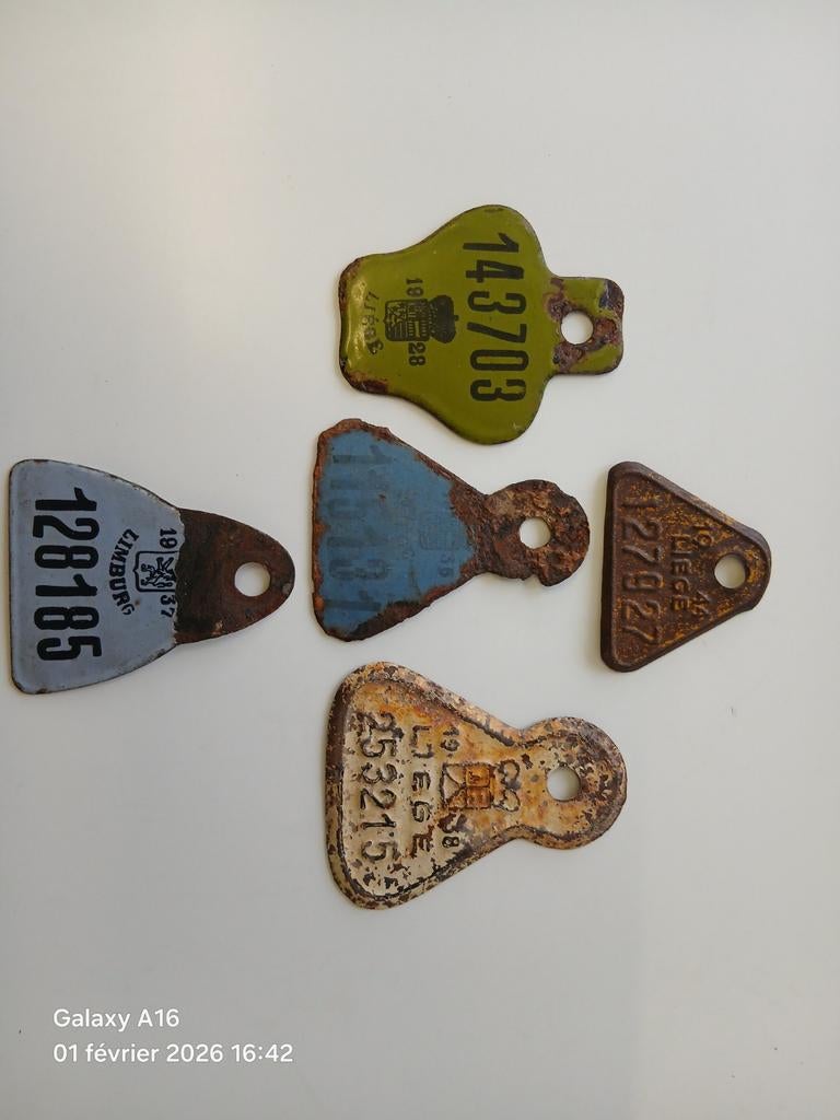 Belge ww2.  Abbl., Collections, Enlèvement ou Envoi, Autres