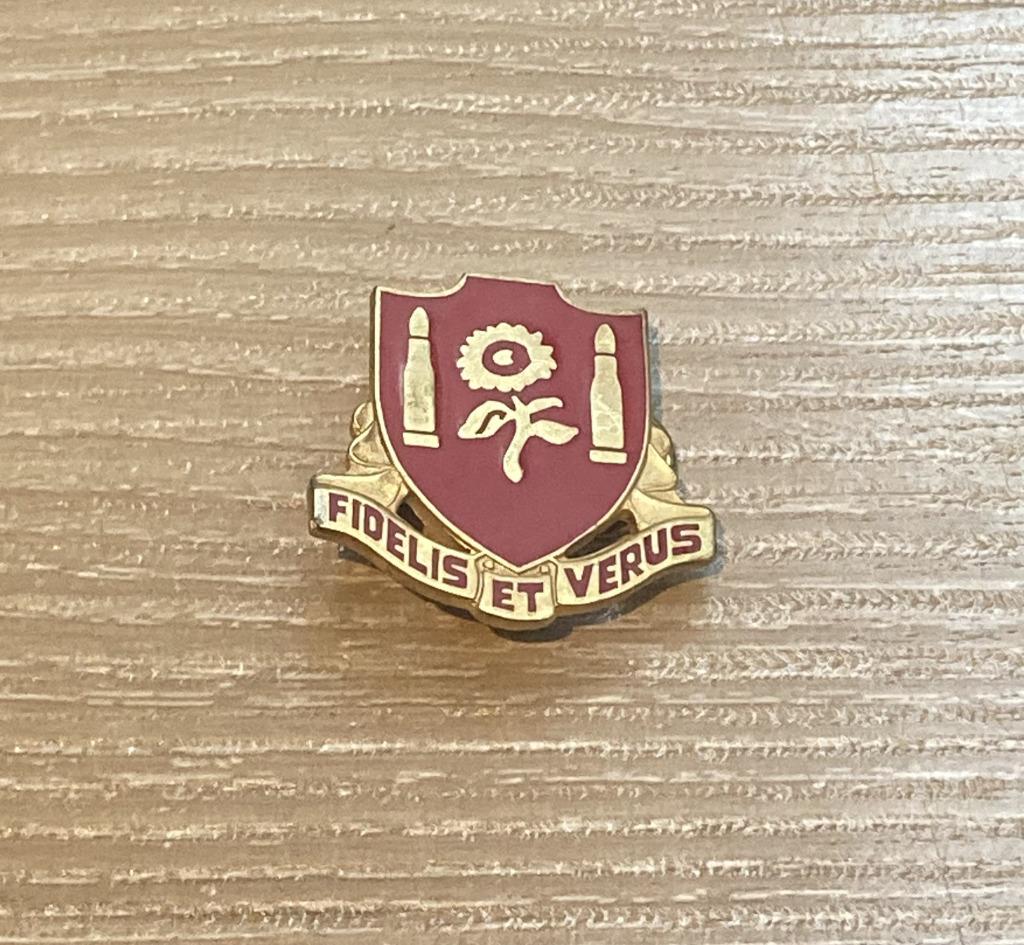 PIN - FIDELIS ET VERUS - LEGER - ARMEE - ARMY, Verzamelen, Speldjes, Pins en Buttons, Verzenden, Gebruikt, Overige onderwerpen