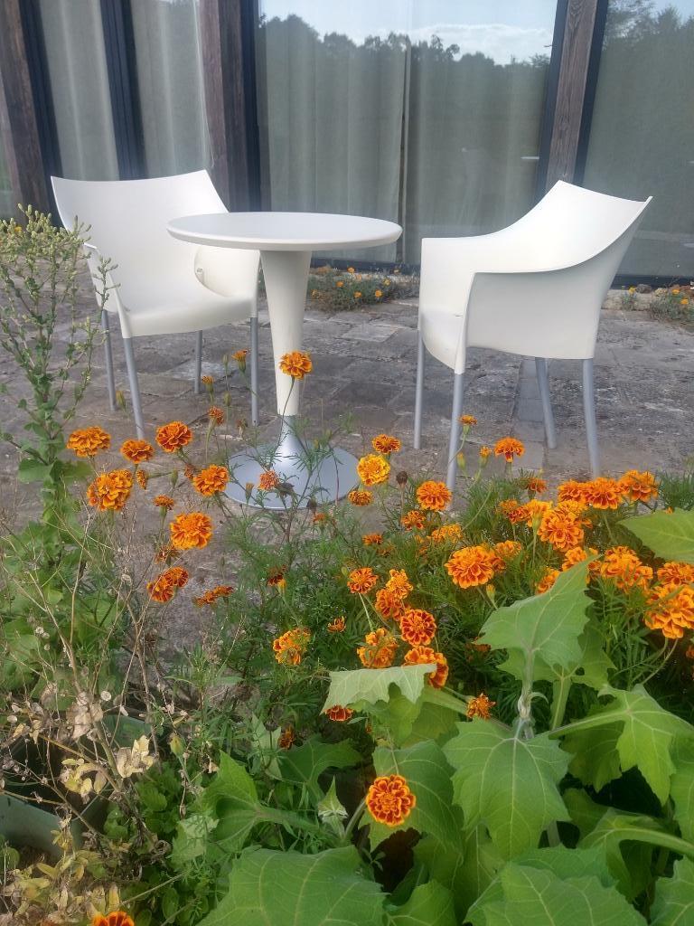 Starck Kartell Dr No Stoel 60 EU, Dr Na Tafel 60 EU - Design, Huis en Inrichting, Stoelen, Ophalen, Gebruikt
