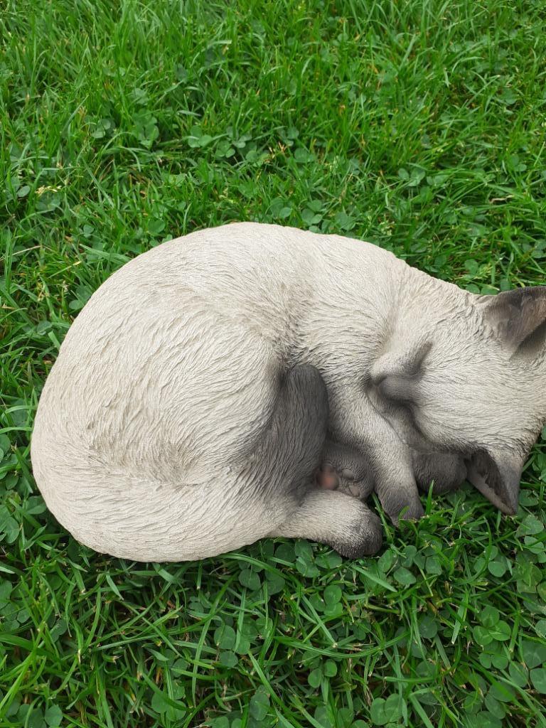 Slapende Siamese kat gemaakt van hoogwaardig polyresin, Ophalen of Verzenden, Nieuw, Dier
