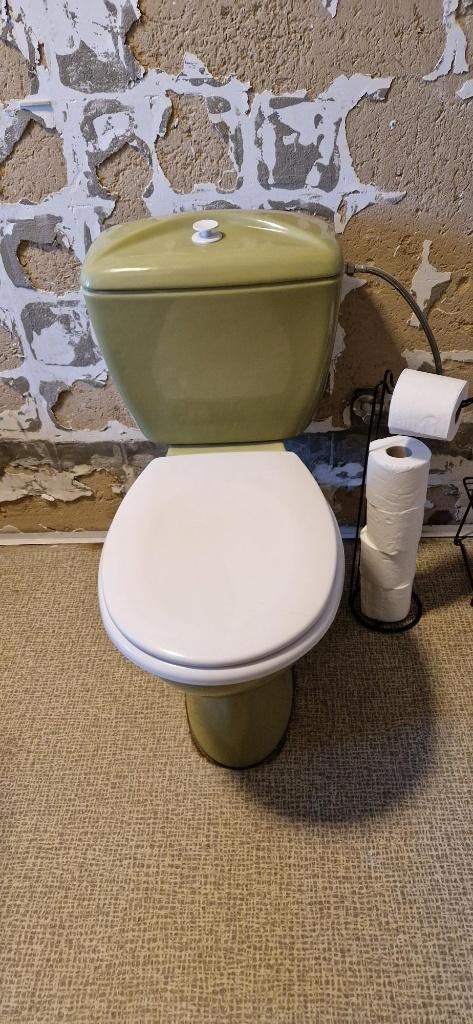 Advocado groen toilet - Villeroy & Boch, Doe-het-zelf en Bouw, Sanitair, Ophalen, Gebruikt, Steen, Toilet